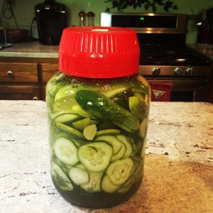 Dill Pickles - 2015